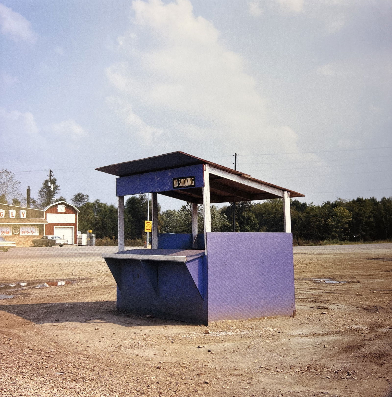 WILLIAM EGGLESTON UNTITLED PHOTO LITHO (1 of 1)