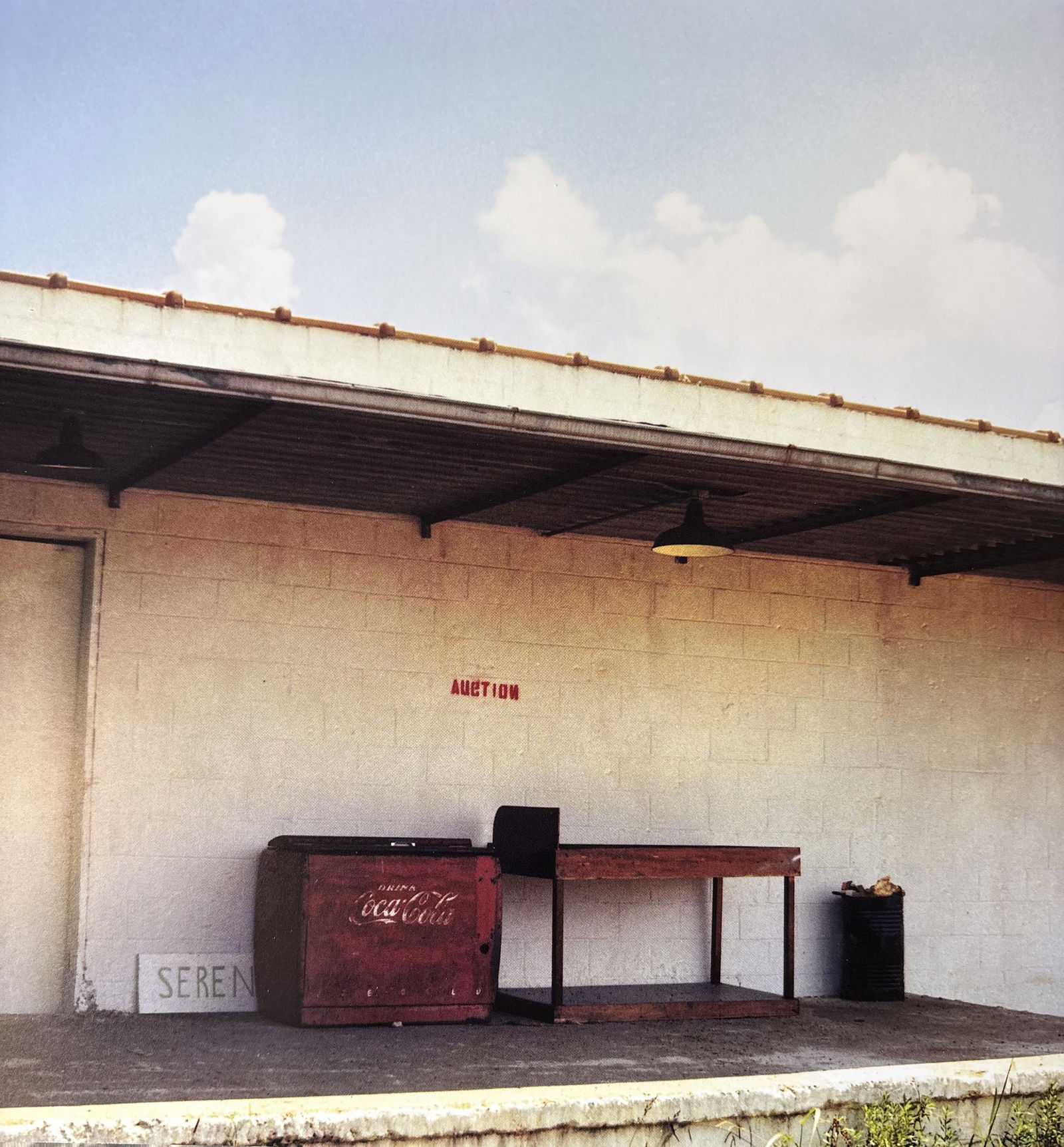 WILLIAM EGGLESTON UNTITLED PHOTO LITHO (1 of 1)