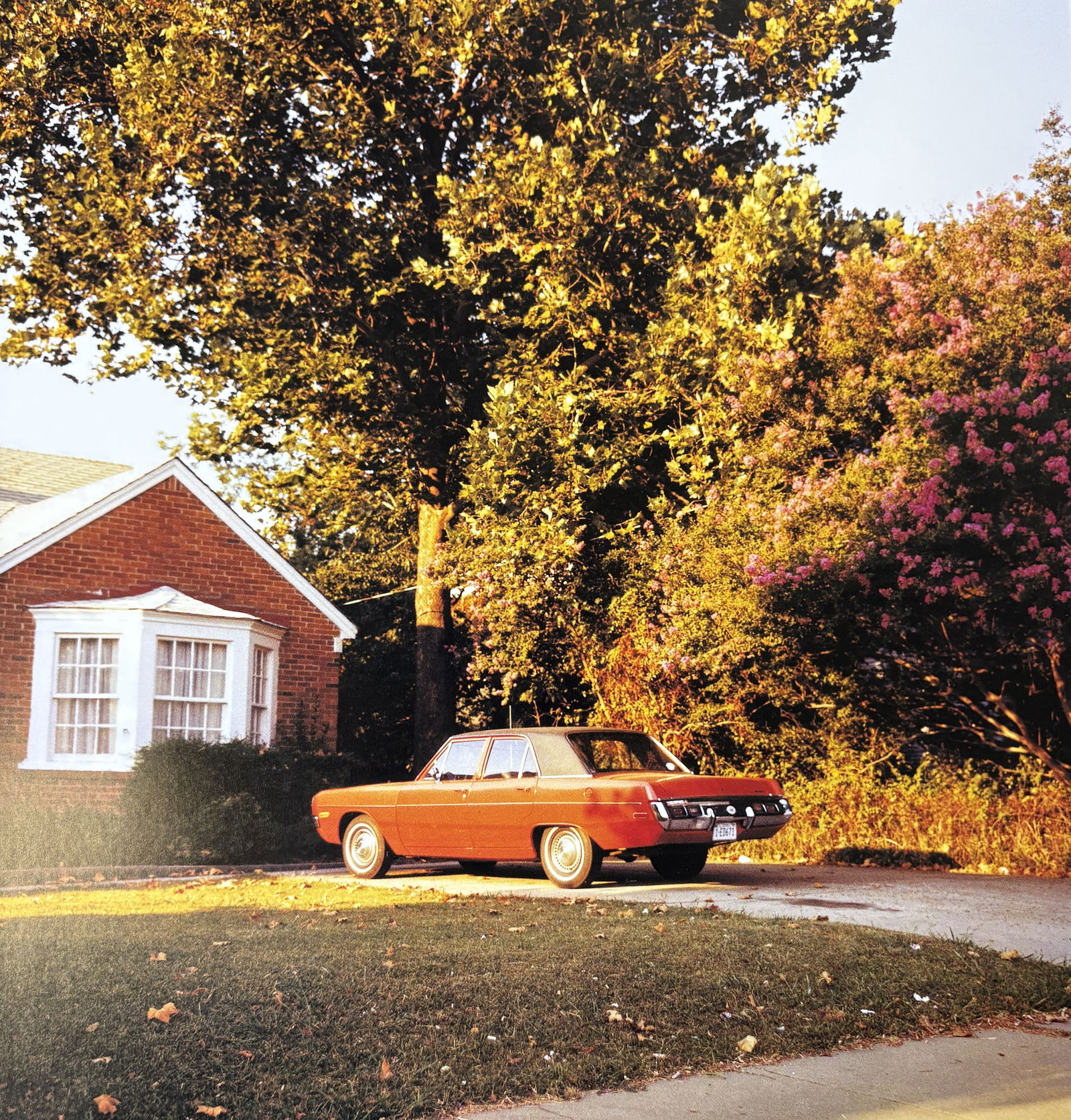 WILLIAM EGGLESTON UNTITLED PHOTO LITHO (1 of 1)