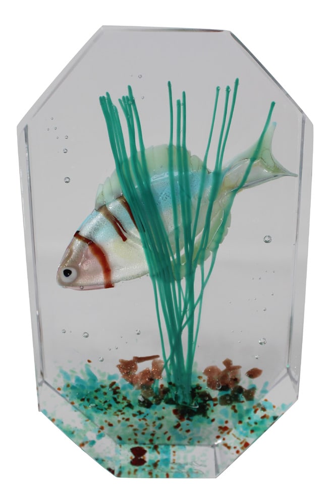 Murano Glass Paperweight Aquarium: Gorgeous Murano Glass Paperweight Aquarium by Glass Master Diego Costantini of Murano. Diego is considered the best maker of Aquariums in the world! Add a touch of elegance to your home decor with thi