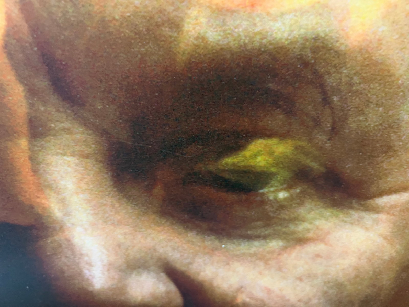 Inge Maux, b. German, "King Lear I", 2010 - 5