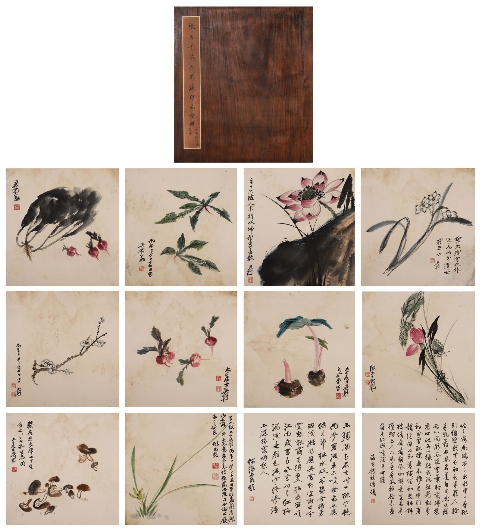 Zhang Daqian, Album: Fine Collection of Wild Flowers & Fruits (1 of 14)