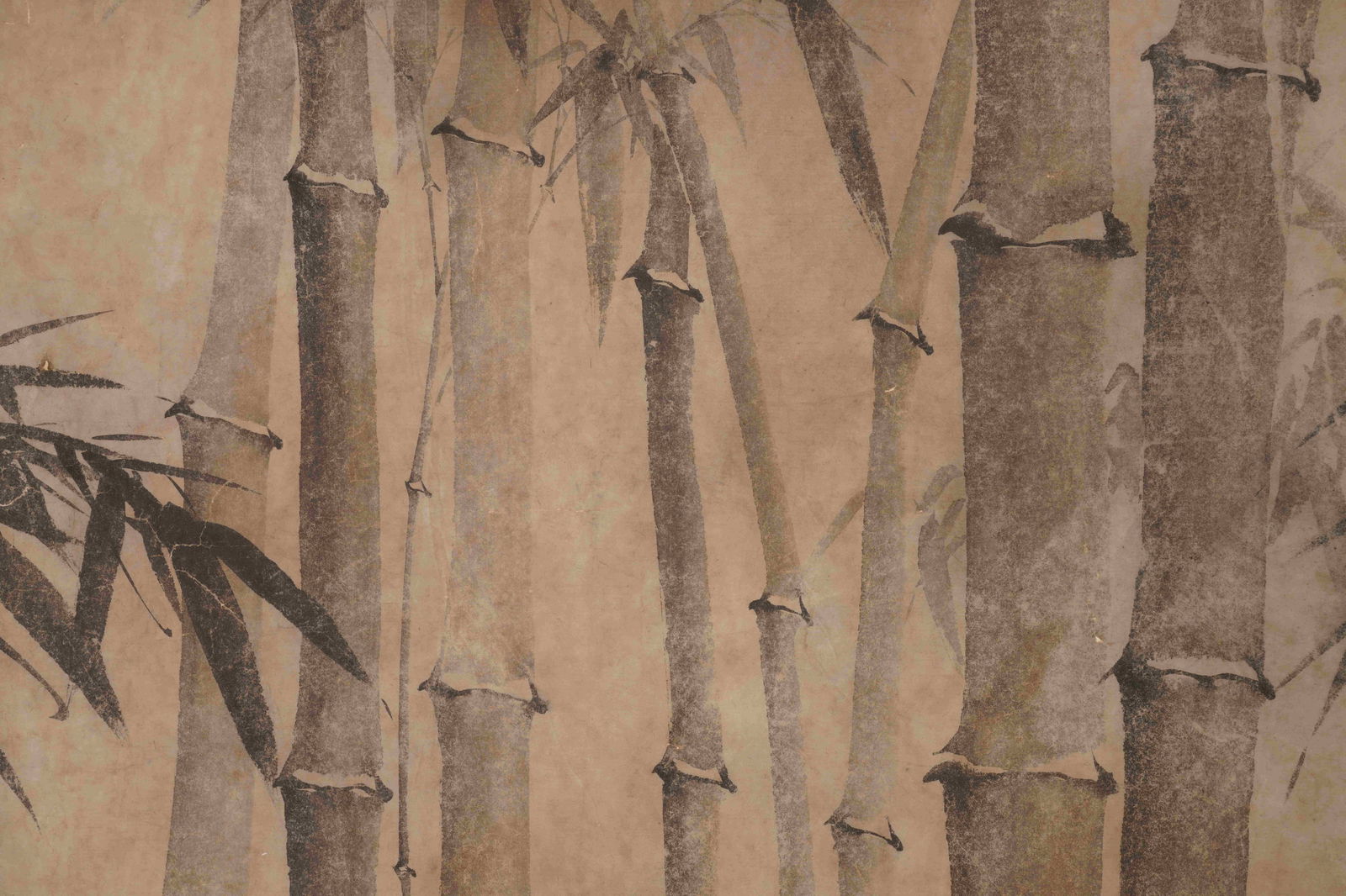 Anonymous, attributed to, Bamboo - 6