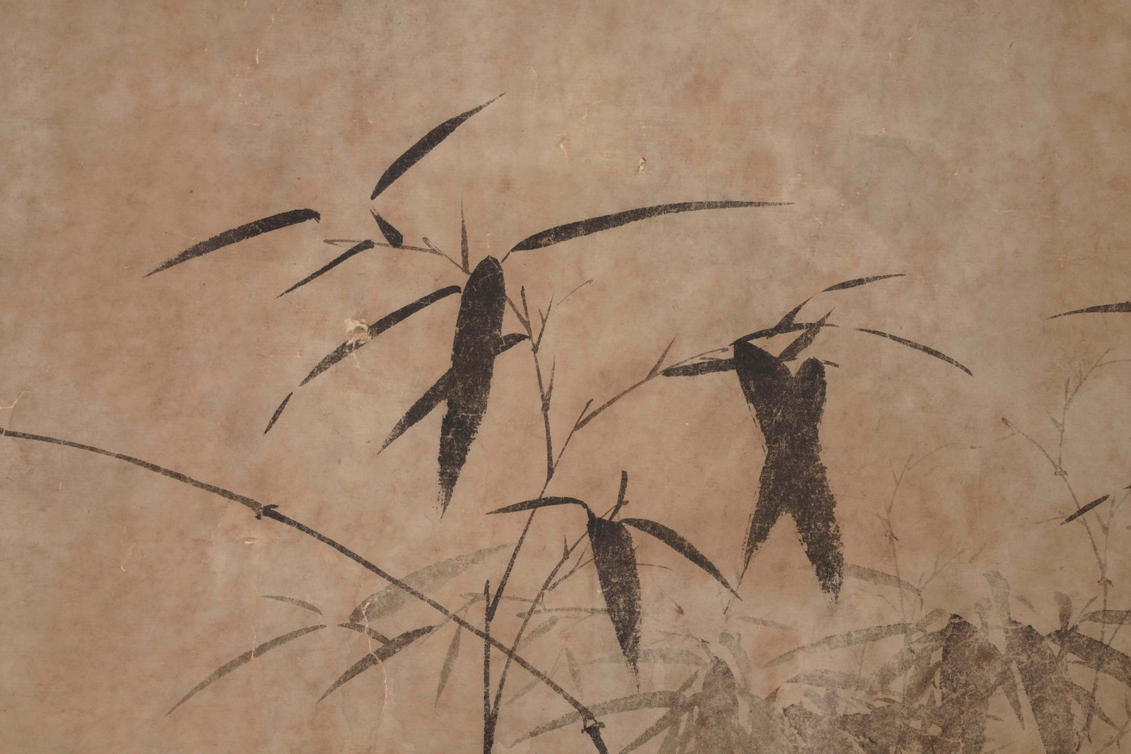 Anonymous, attributed to, Bamboo - 7