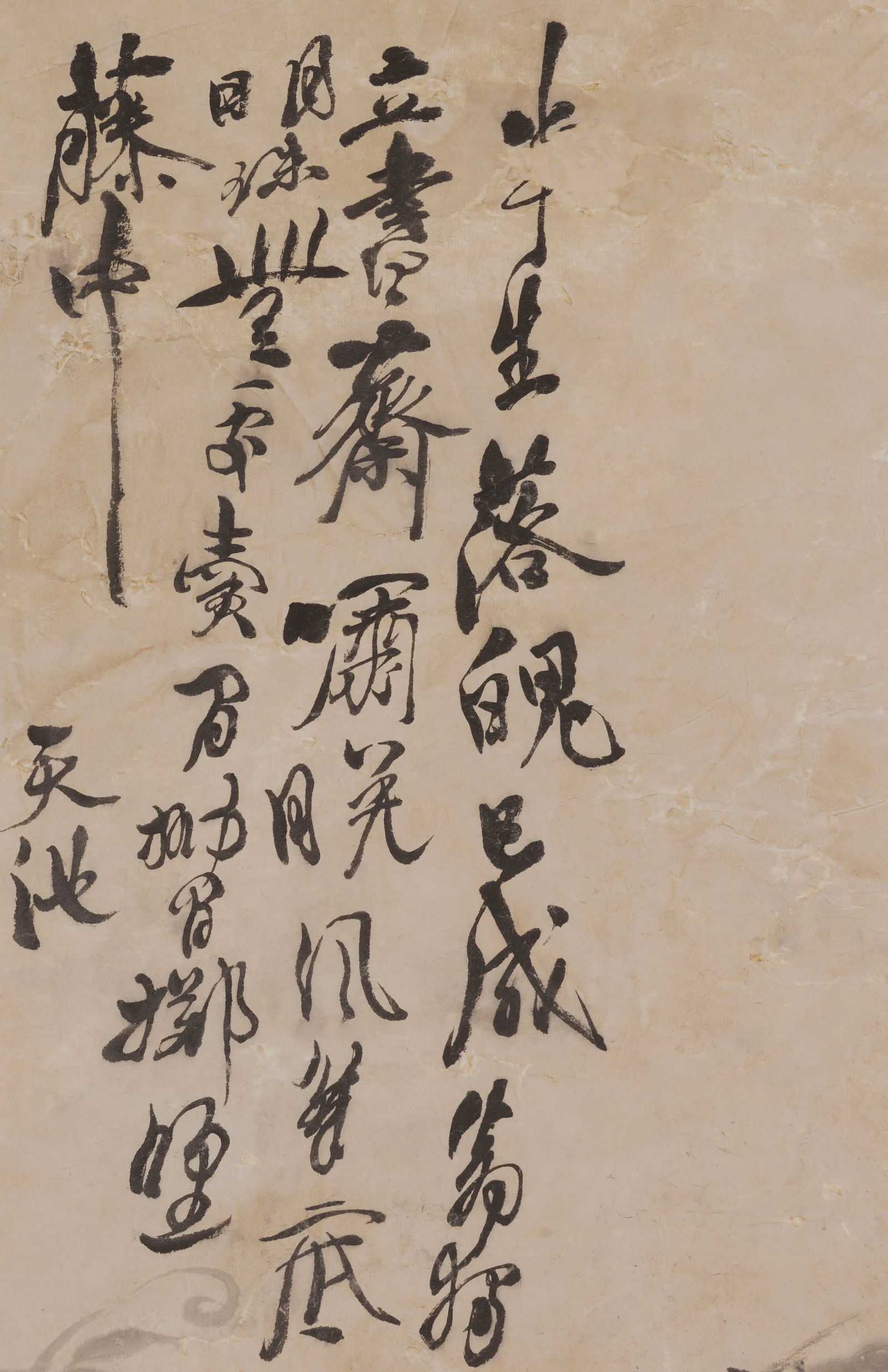 Tianchi (Dates unknown), attributed to, Flowers - 3