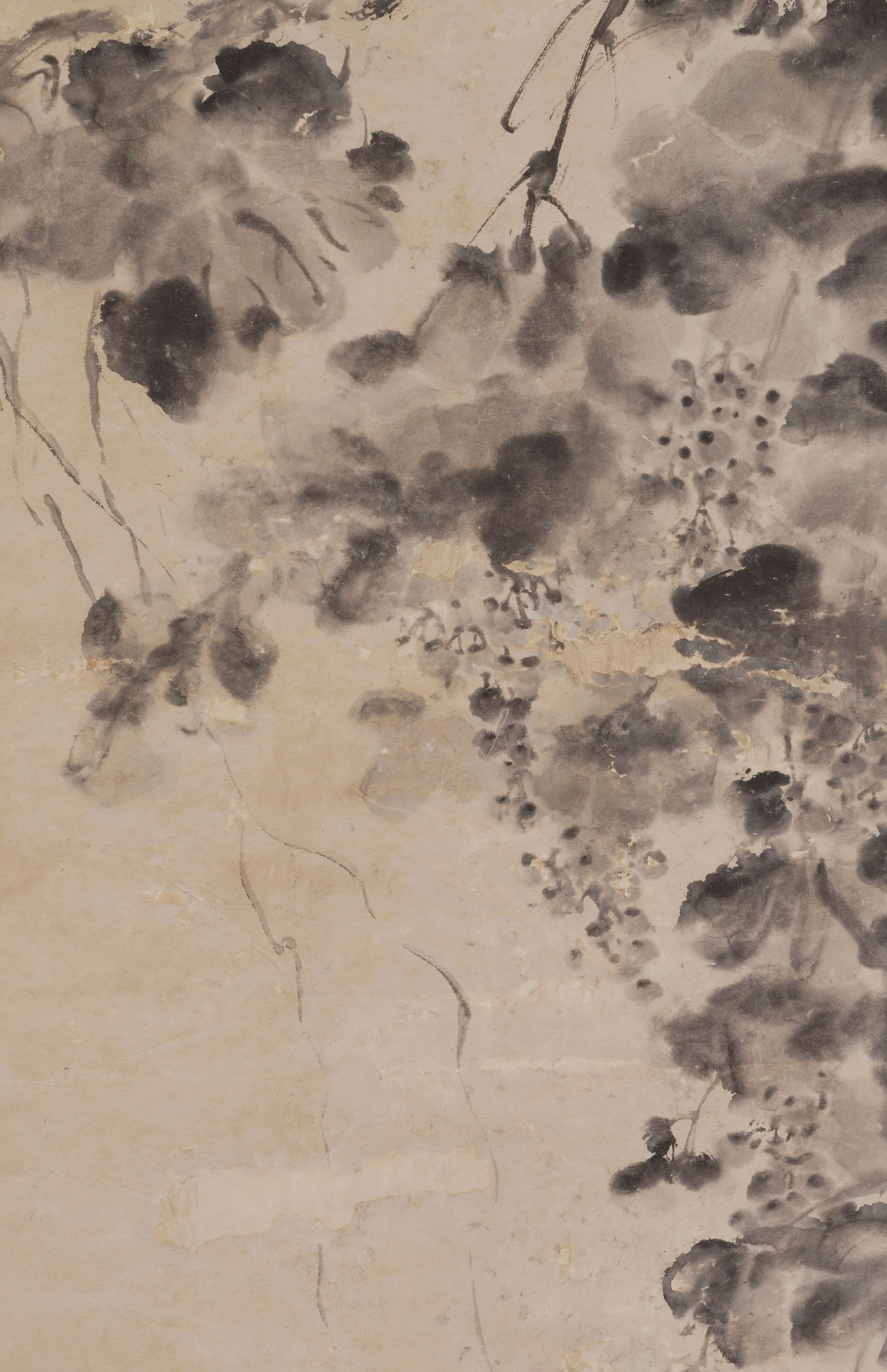 Tianchi (Dates unknown), attributed to, Flowers - 5