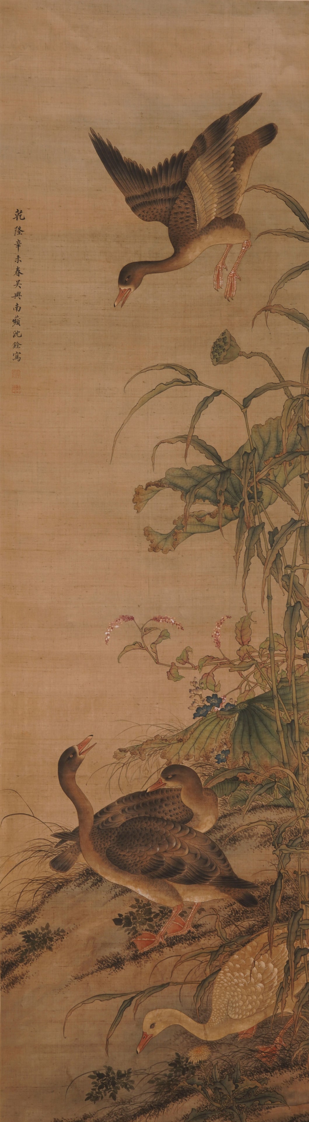 Shen Quan (1682-1760), attributed to, Flower and Bird: Dimensions: Height: 188 cm (74.02 in.) x Width: 52.5 cm (20.67 in.). All measurements are approximate.