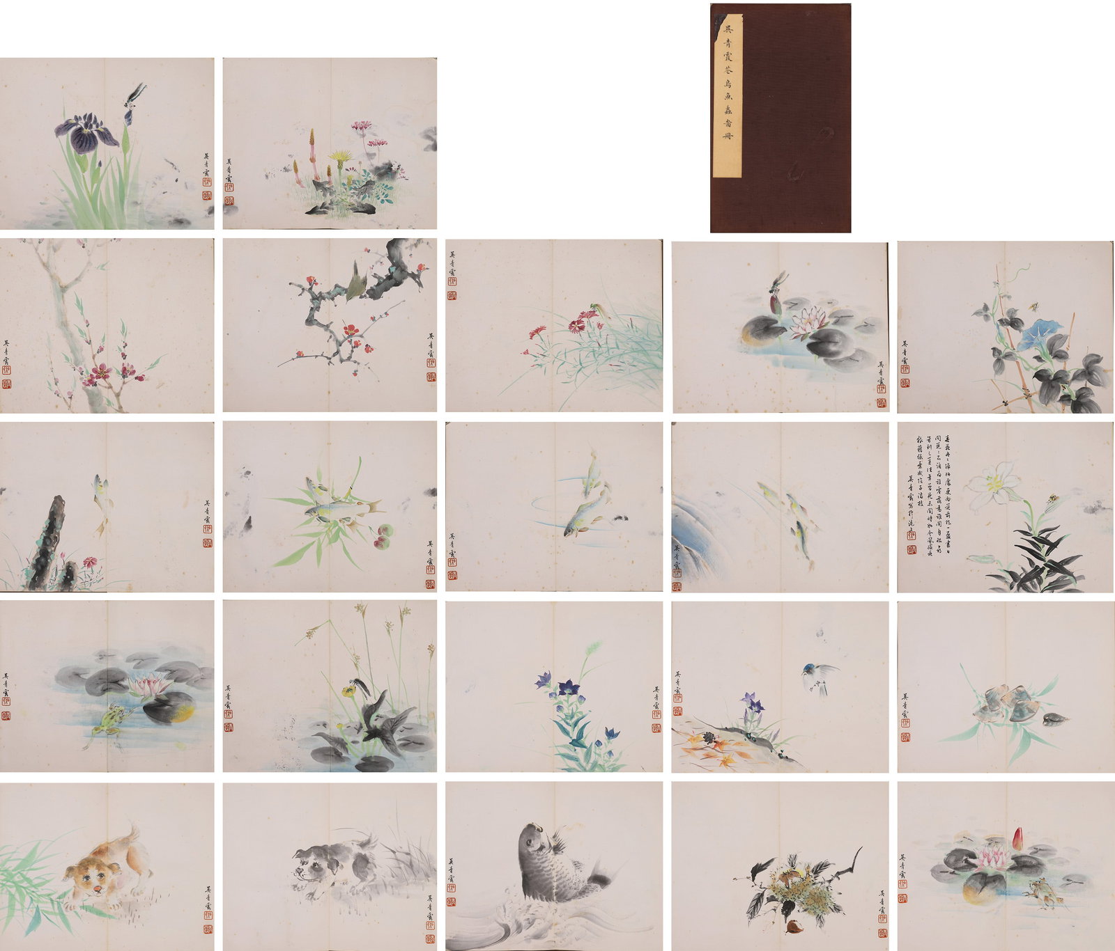 ALBUM OF FLOWERS, BIRDS, FISH AND INSECTS (22 LEAVES) BY WU QINGXIA, MODERN CHINESE PERIOD: Paper Texture, Painting Core: 14.17" x 11.42" (36.0cm x 29.0cm)A fine album by Wu Qingxia, blending meticulous and freehand styles. It depicts flowers, birds, fish and insects with delicate brushwork