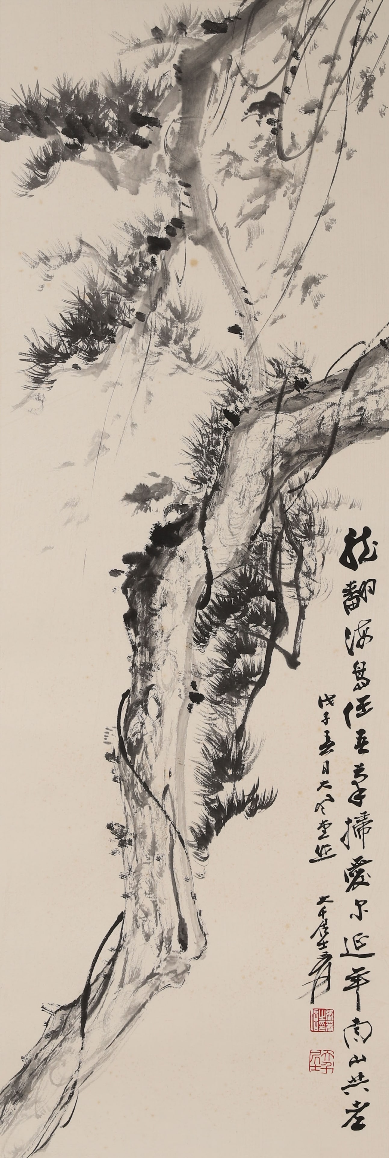 INK PINE HANGING SCROLL BY ZHANG DAQIAN, DATED WUZI (1948, MODERN CHINESE PERIOD): Paper Texture, Painting Core: 39.37" x 13.39" (100.0cm x 34.0cm)A masterpiece from Zhang Daqian’s prime, this freehand ink painting of an aged pine tree features vigorous brushwork and rich ink tone