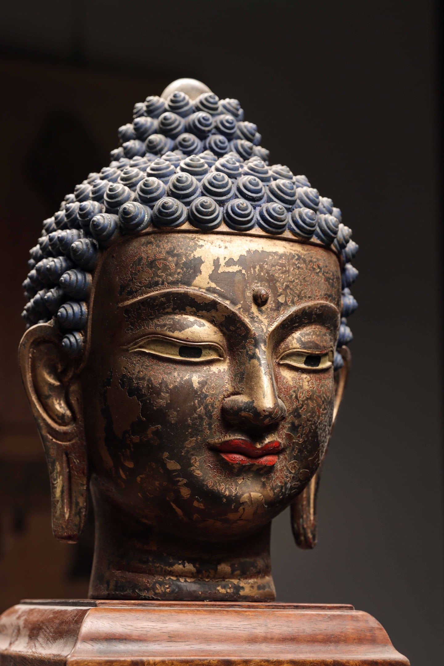 MING DYNASTY, GILDED BRONZE BUDDHA HEAD: Lacquered-gilded Sakyamuni Buddha Head. The Buddha head is mounted on a wooden base, featuring dark blue spiral hair and rounded cranial protuberance. The face is full and solemn, with downcast eyes a