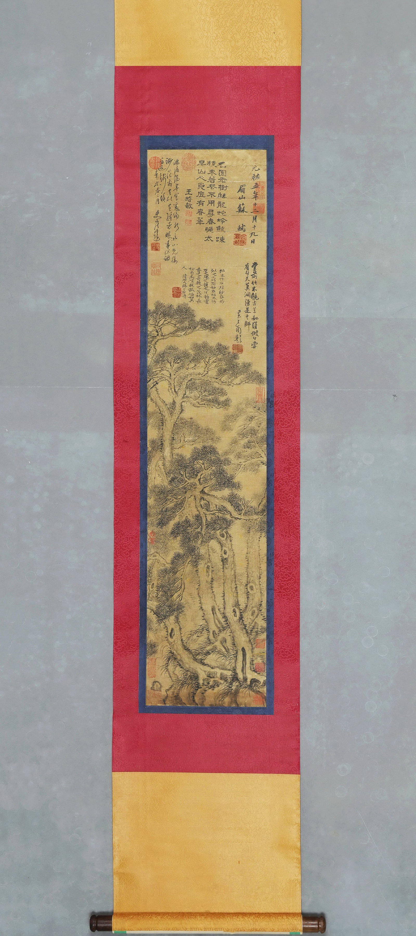 Song Dynasty, Old Silk Hanging Scroll of "Pine Forest" by Su Shi (1 of 8)