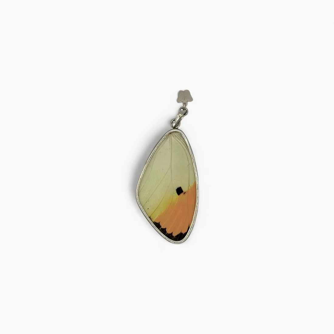 "Sunset Wing" Medium Butterfly Wing Jewelry Pendant: This large butterfly pendant by Yolanda Ormachea features a warm, sunlit color palette with soft gradients of ivory, amber, and golden orange. On one side, the wing reveals a bold curve edged in black