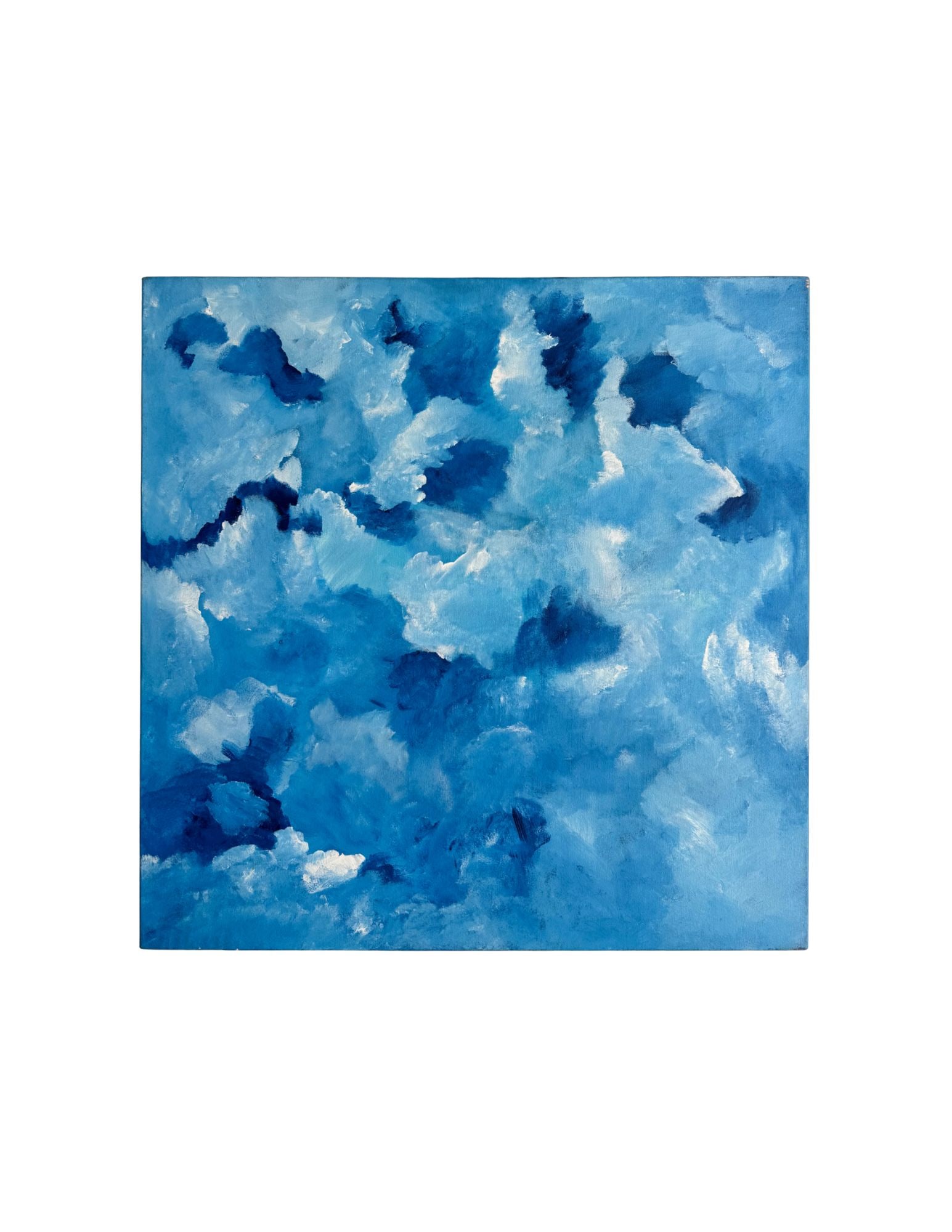"Cloud Series - Adriana #2" Acrylic Painting: Viola DelgadoCloud Series - Adriana #230" x 30"2010Acrylic on canvas.Signed.