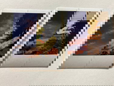 Nobuyoshi Araki Set of Two Polaroid Prints, Untitled (1 of 5)