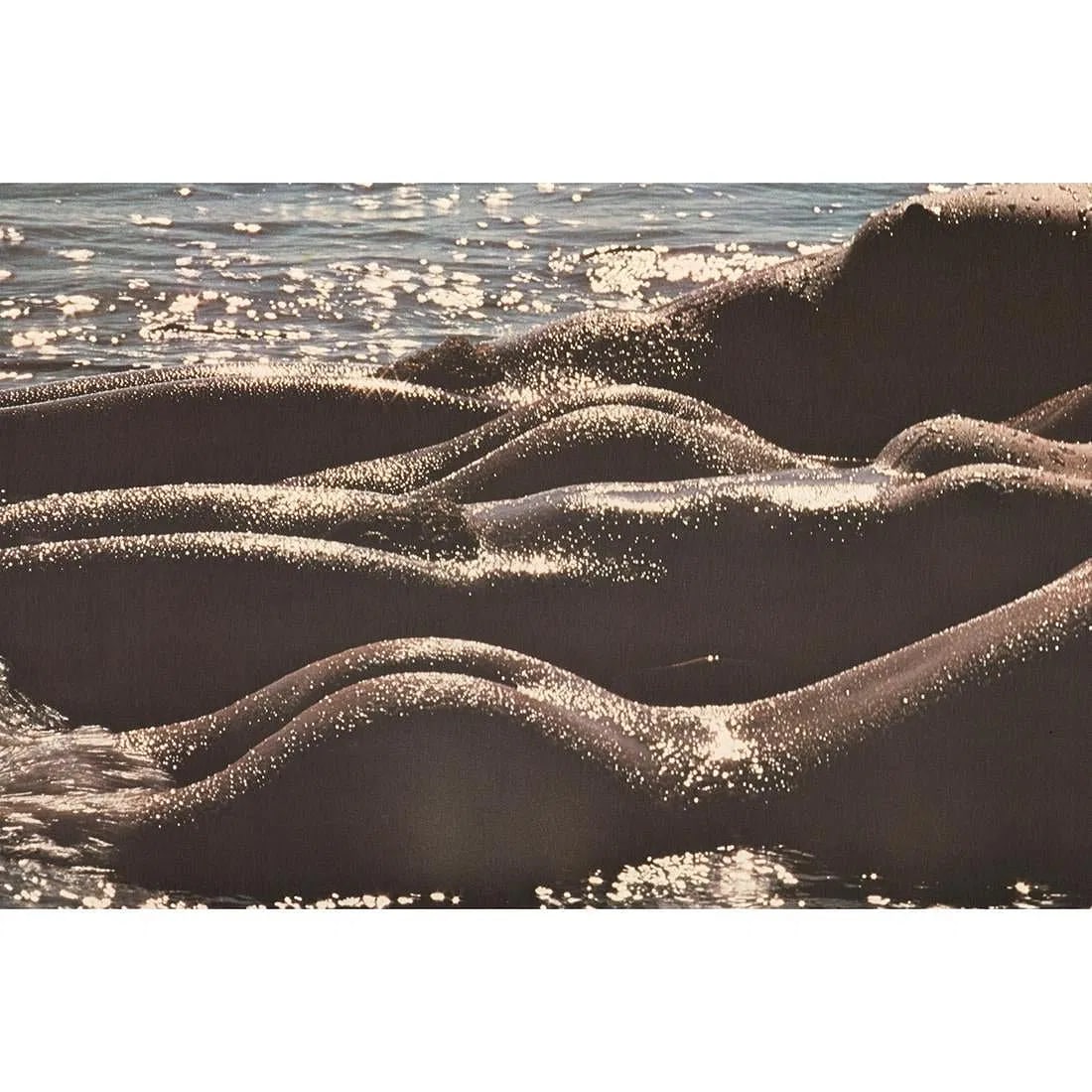 Lucien Clergue - Untitled (1 of 1)