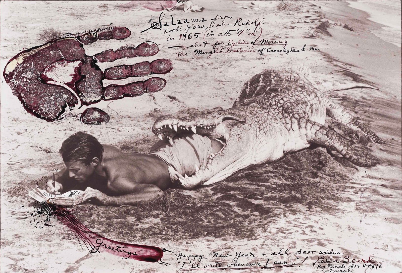PETER BEARD I'll write when I can', 1965 Photograph: PETER BEARD (B. 1938) I'll write when I can', 196Photograph, mounted to foam core board, printed later Measures 13 x 19 inches.
