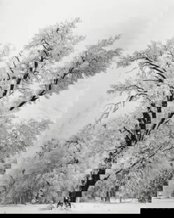 Ansel Adams Photograph, After: Measures: 19 x 15 inches, photograph, printed later, mounted to foamboard. Ansel Easton Adams (February 20, 1902 – April 22, 1984) was an American landscape photographer and environmentalist known f