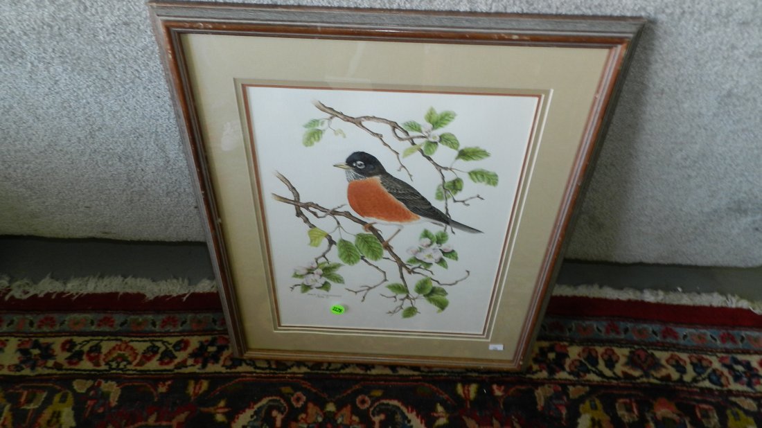 lovely watercolor by Dale C. Thompson bird: lovely watercolor by Dale C. Thompson bird