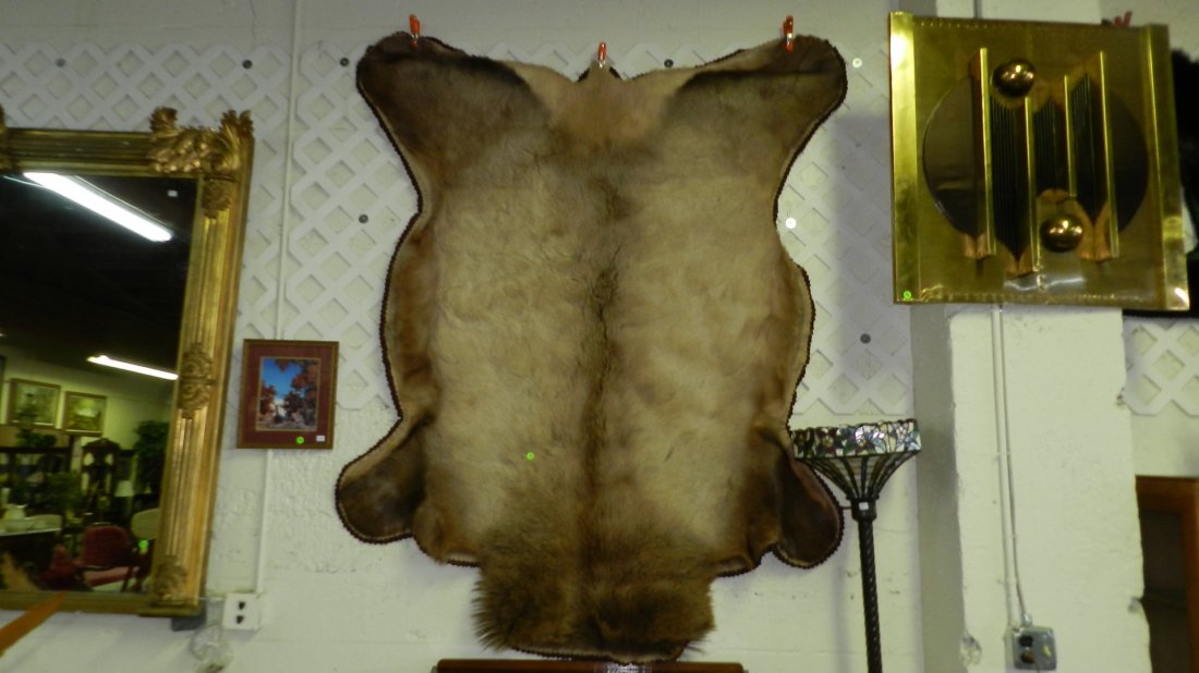 large tanned & matted Elk hide rug 70 x 50: large tanned & matted Elk hide rug 70 x 50
