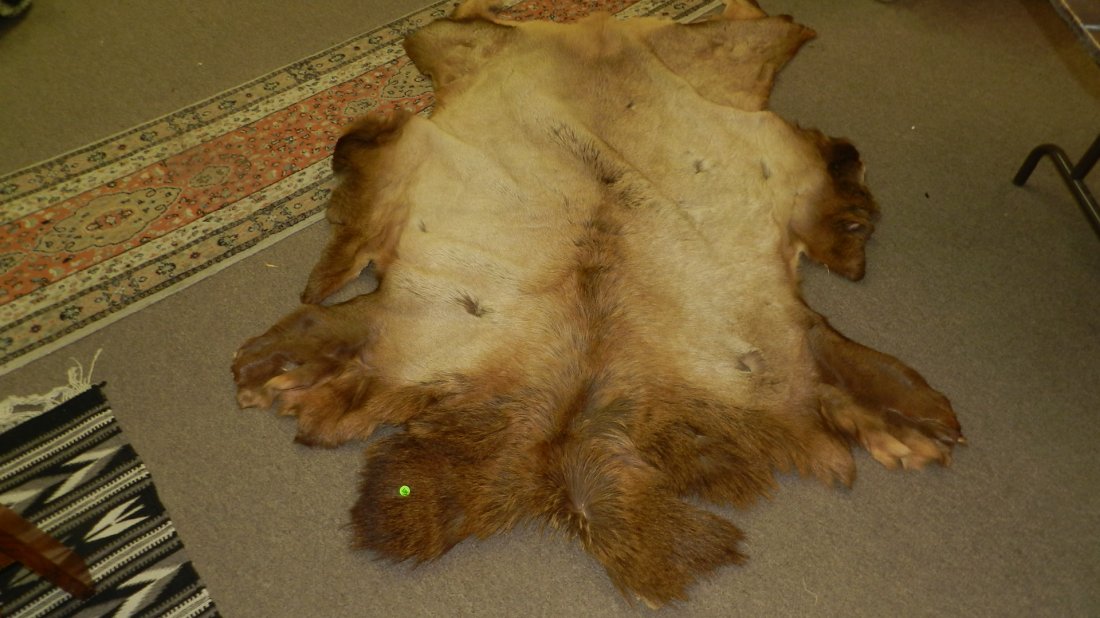 large Elk hide rug, tanned: large Elk hide rug, tanned