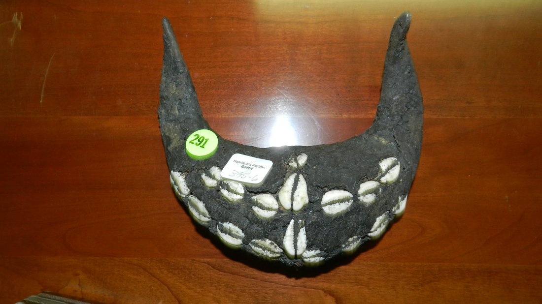 6) Unique African dung made horn display with cowry: 6) Unique African dung made horn display with cowry shells