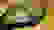 item-42439138=4
