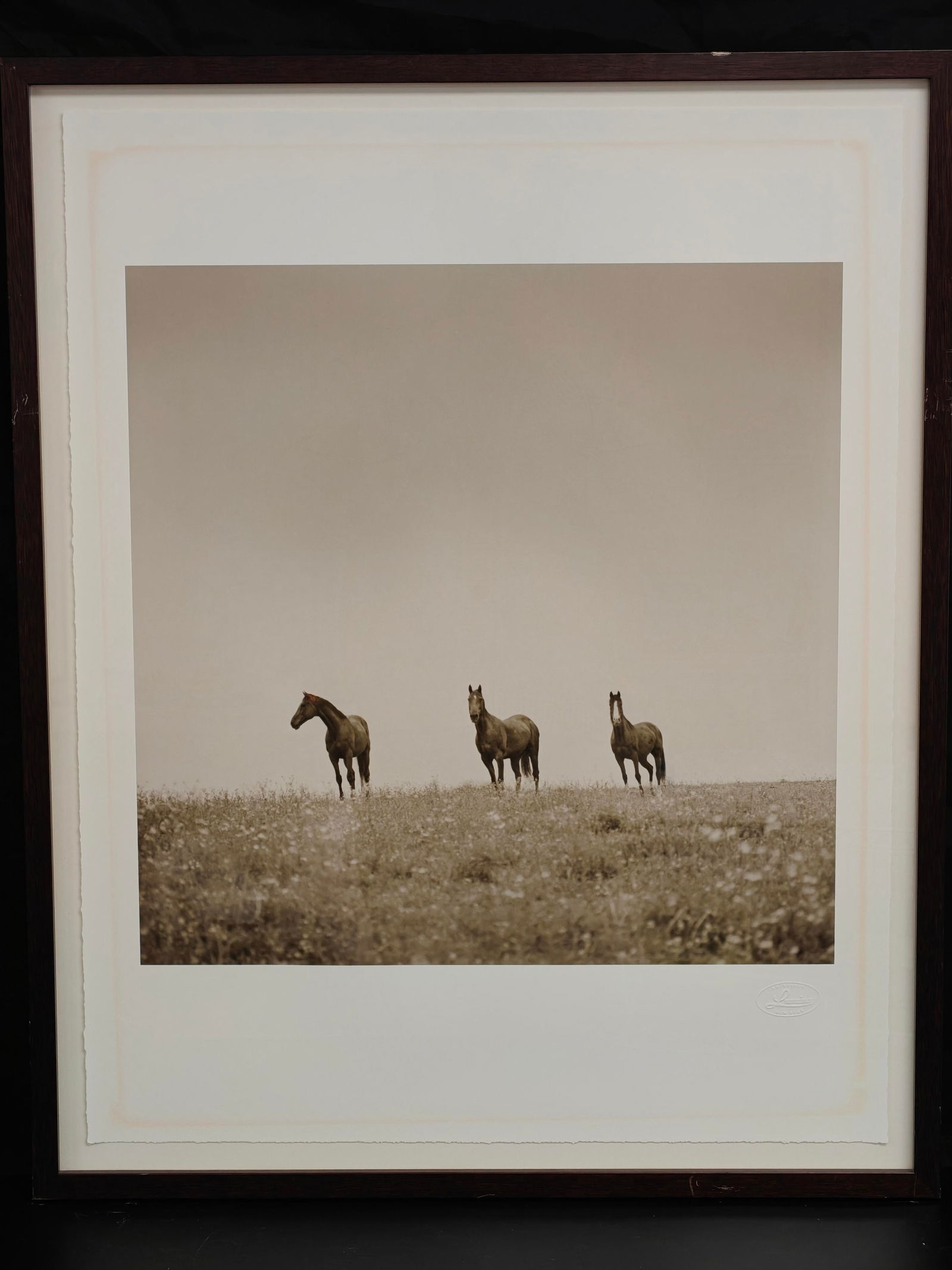 Kenro Izu, Horses in a Field, Photogravure, Blind Stamped, LensWork New York (1 of 3)