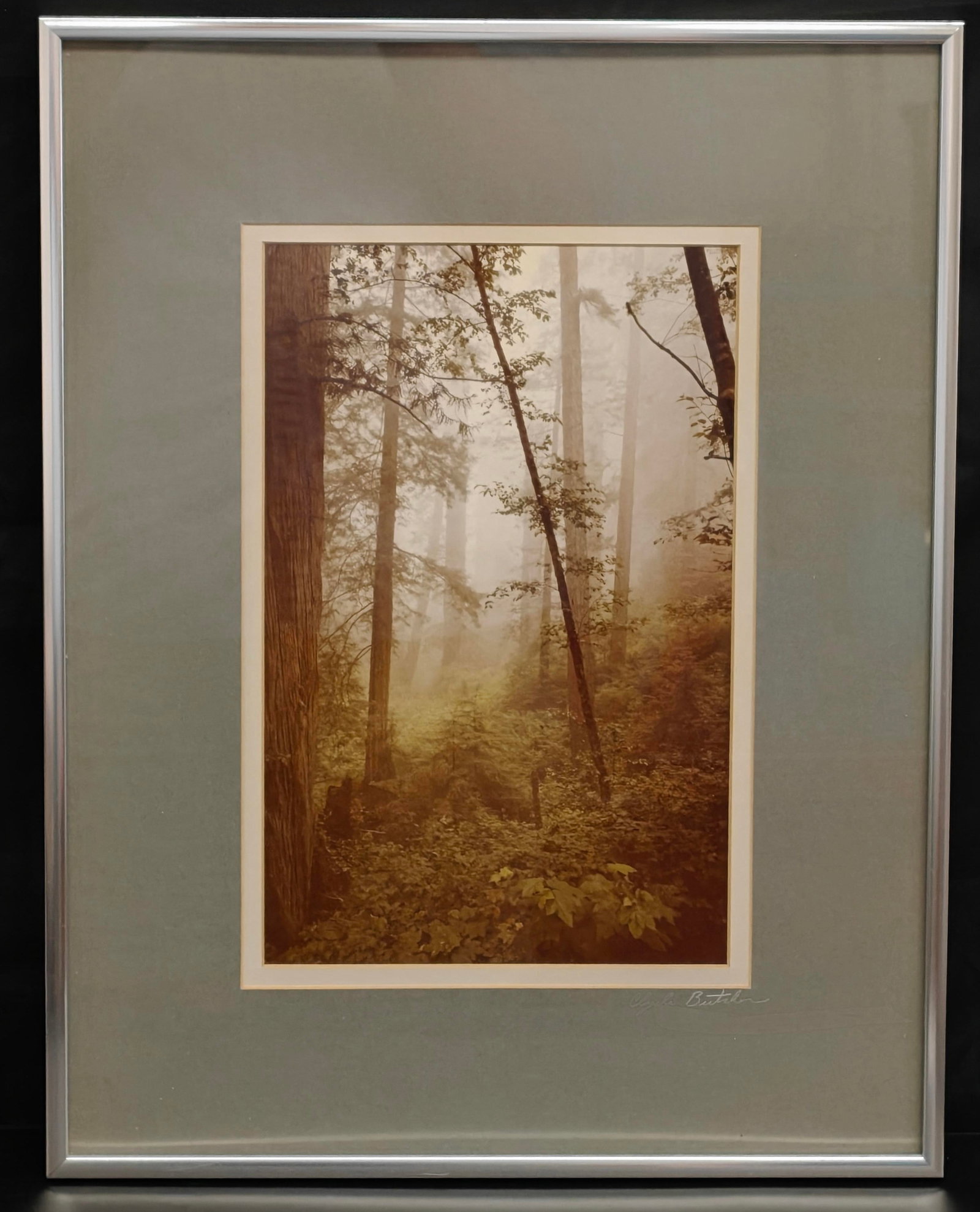 Clyde Butcher (American, b. 1942) Framed Signed Color Photograph (1 of 4)