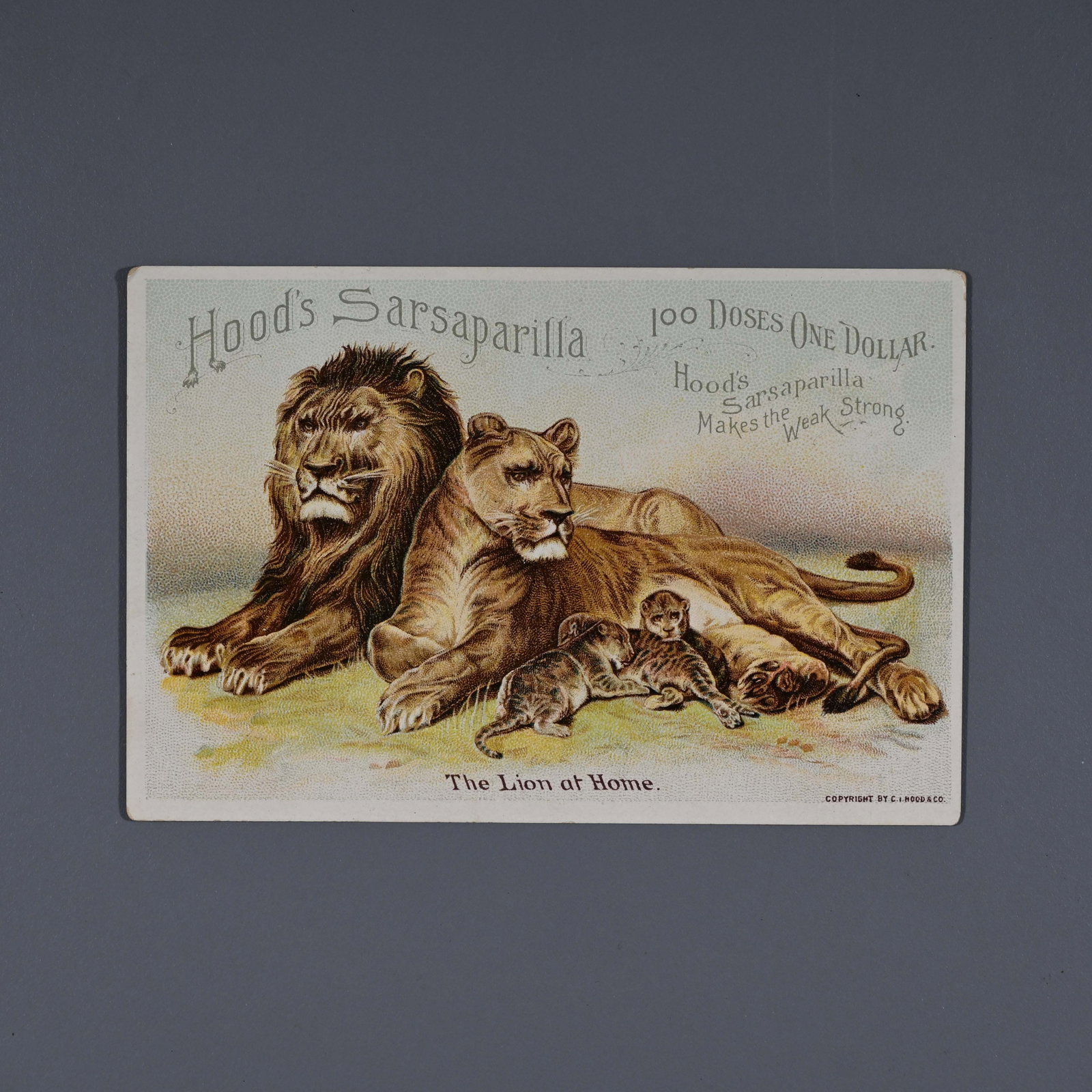Hood's Sarsaparilla Victorian Trade Card: Quack medicine