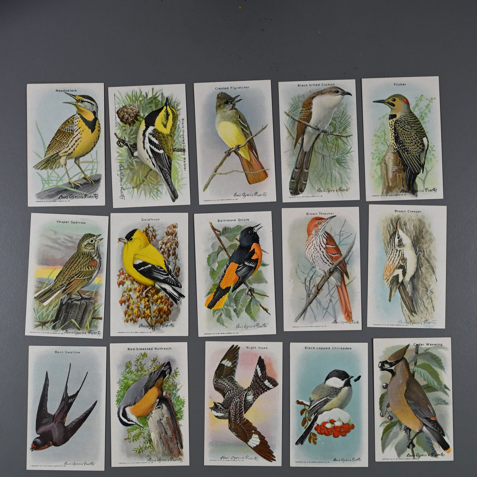 Church & Dwight Useful Birds of America - 10th Series Complete: Produced by the Church & Dwight Company as inserts for its Arm & Hammer baking soda brand. Useful Birds of America - Ninth Series - 15 cards - was issued in 1938. Useful Birds of America - Tenth Serie