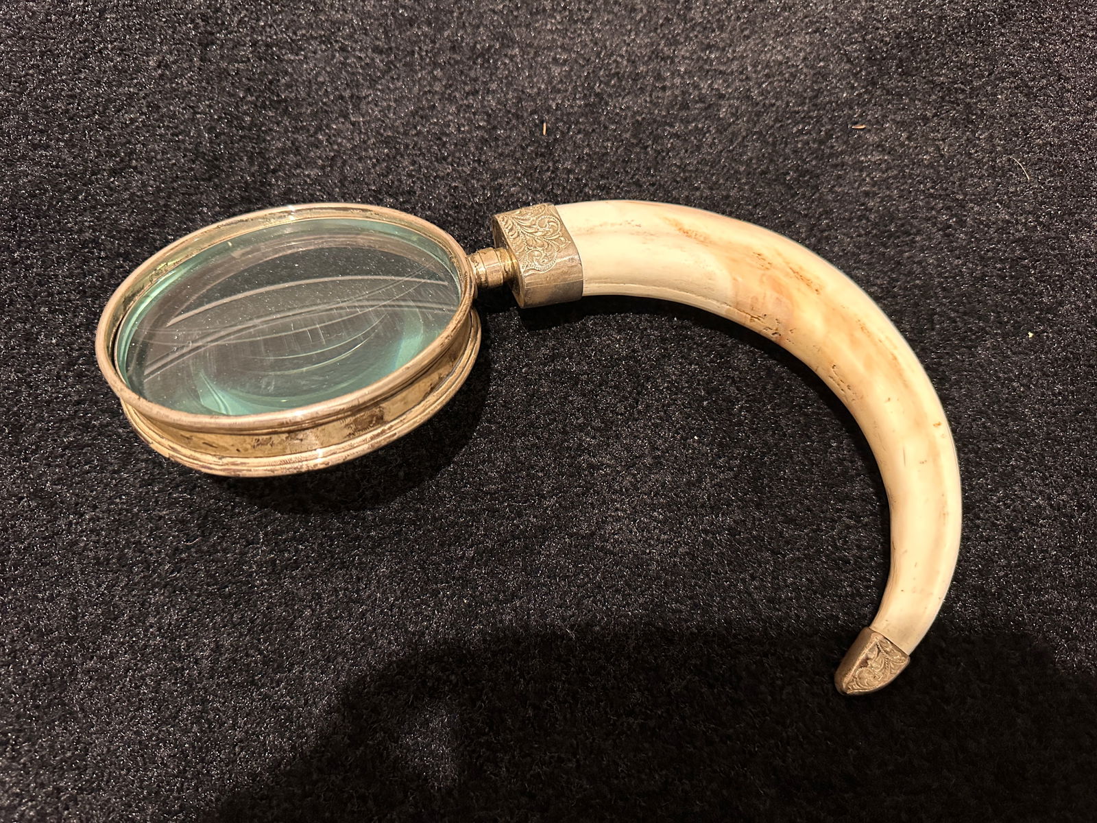 Warthog tusk magnifying glass with silver accents: Warthog tusk magnifying glass with silver accents. The entire piece along the curve measures approximately 17 inches. The tusk itself measures approximately 11 inches. The silver is tarnished and has