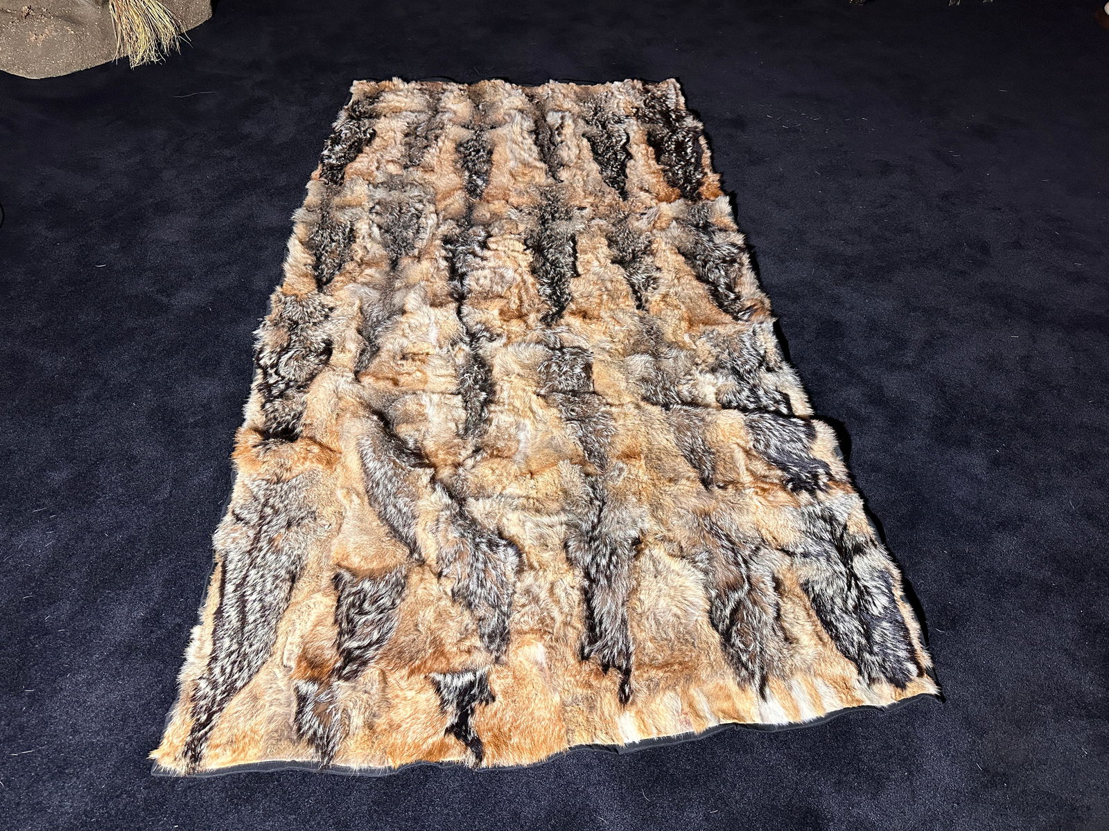 Black backed Jackal Taxidermy Rug (1 of 2)