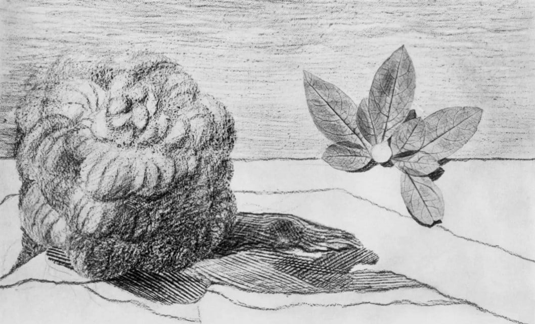 Max Ernst, Composition (Spies/Leppien 222), Histoire Naturelle, Limited Edition Lithograph: Collotype from frottage on vélin paper. Paper size: 12.75 x 19.625 inches. Excellent condition. Unsigned and unnumbered, as issued. Notes: From the album, Max Ernst, Histoire Naturelle, 1972. Pub