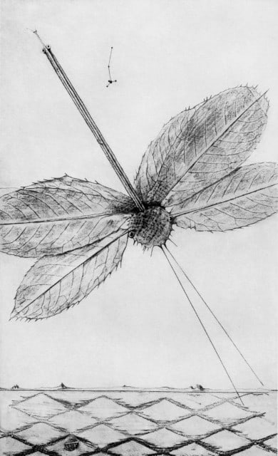 Max Ernst, Composition (Spies/Leppien 222), Histoire Naturelle, Limited Edition Lithograph: Collotype from frottage on vélin paper. Paper size: 19.625 x 12.75 inches. Excellent condition. Unsigned and unnumbered, as issued. Notes: From the album, Max Ernst, Histoire Naturelle, 1972. Pub