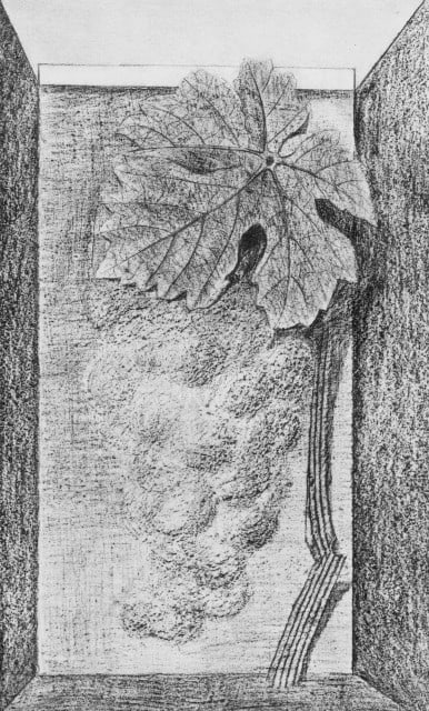 Max Ernst, Composition (Spies/Leppien 222), Histoire Naturelle, Limited Edition Lithograph: Collotype from frottage on vélin paper. Paper size: 19.625 x 12.75 inches. Excellent condition. Unsigned and unnumbered, as issued. Notes: From the album, Max Ernst, Histoire Naturelle, 1972. Pub