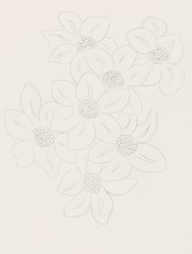 Henri Matisse, Les Fleurs (Flowers), Poésies, Limited Edition Lithograph