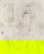 item-208348019=1