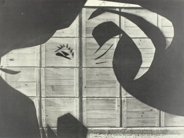 Pablo Picasso, Composition (Bloch 112; Kibbey 1466; Goeppert 115), Diurnes Découpages et