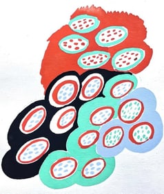 Sonia Delaunay, Planche No. 37, Compositions, couleurs, idées: Sonia Delaunay, Limited Edition