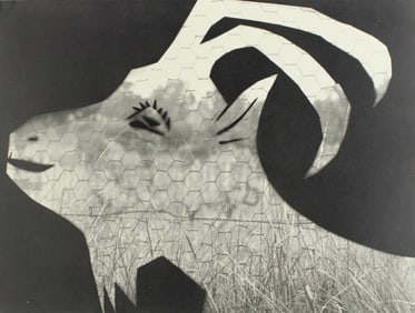 Pablo Picasso, Composition (Bloch 112; Kibbey 1466; Goeppert 115), Diurnes Découpages et
