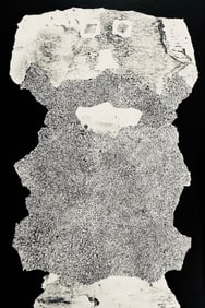 Jean Dubuffet, Composition (Webel 775-779), La Fleur de Barbe, Limited Edition Phototype