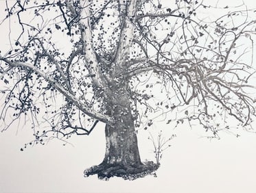 Andrew Wyeth, New Leaves, The Four Seasons, Limited Edition Lithograph