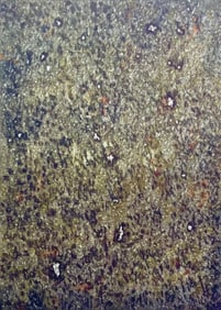 Mark Tobey, Composition, Mark Tobey, Peintres d'aujourd'hui, Limited Edition Lithograph