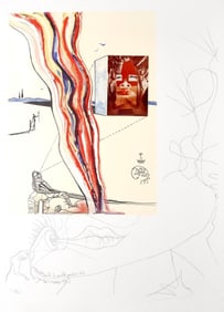 Salvador Dalí, Télévision liquide et gazeuse (M/L 822-831; Field 75-13), Imaginations