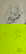 item-208352451=2