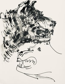 Pablo Picasso, Deux têtes de chiens (Cramer No. 84), 40 dessins de Picasso en marge du Buffon,