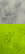 item-208352482=2