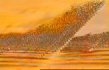 Jean Carzou, Les Tuileries, Regards sur Paris, Limited Edition Lithograph