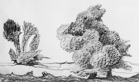 Max Ernst, Composition (Spies/Leppien 222), Histoire Naturelle, Limited Edition Lithograph