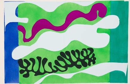 Henri Matisse, Le Lagon, Jazz, Special Edition for the Museum of Modern Art, Limited Edition Hé